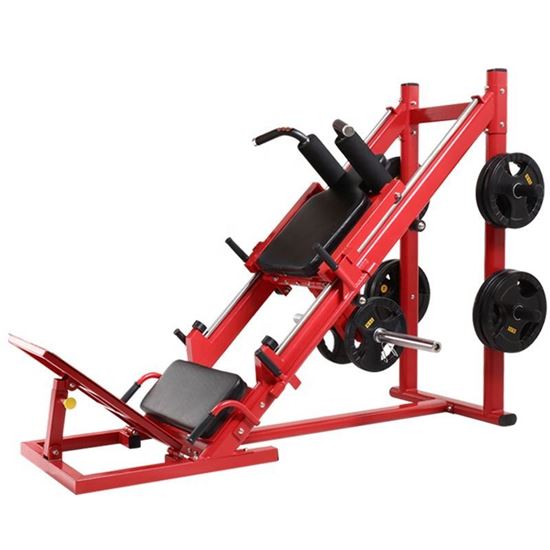 Leg Press