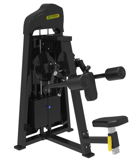 Lateral Raise