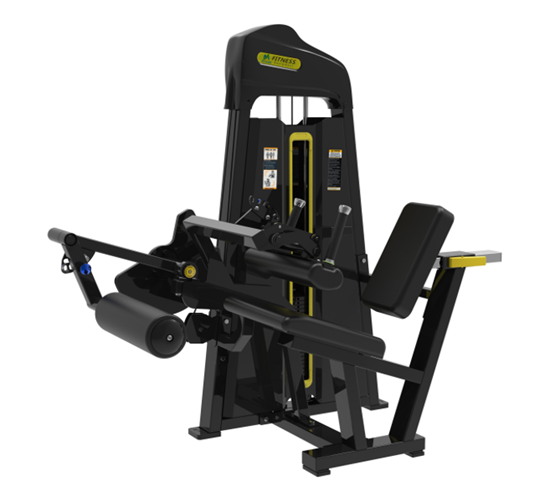 Seated Leg Curl