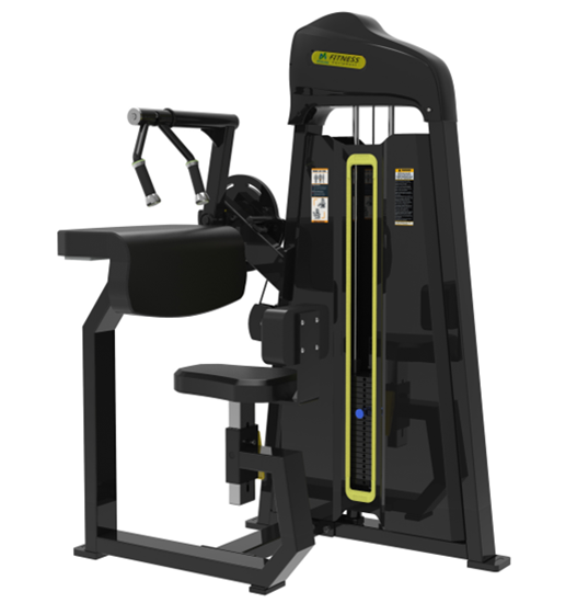Seated Tricep-Flat